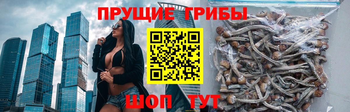 Галлюциногенные грибы GOLDEN TEACHER Кудымкар