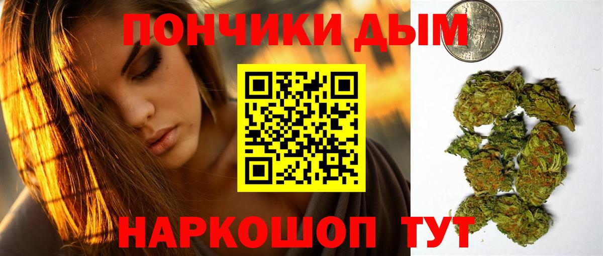 Каннабис планчик Кудымкар